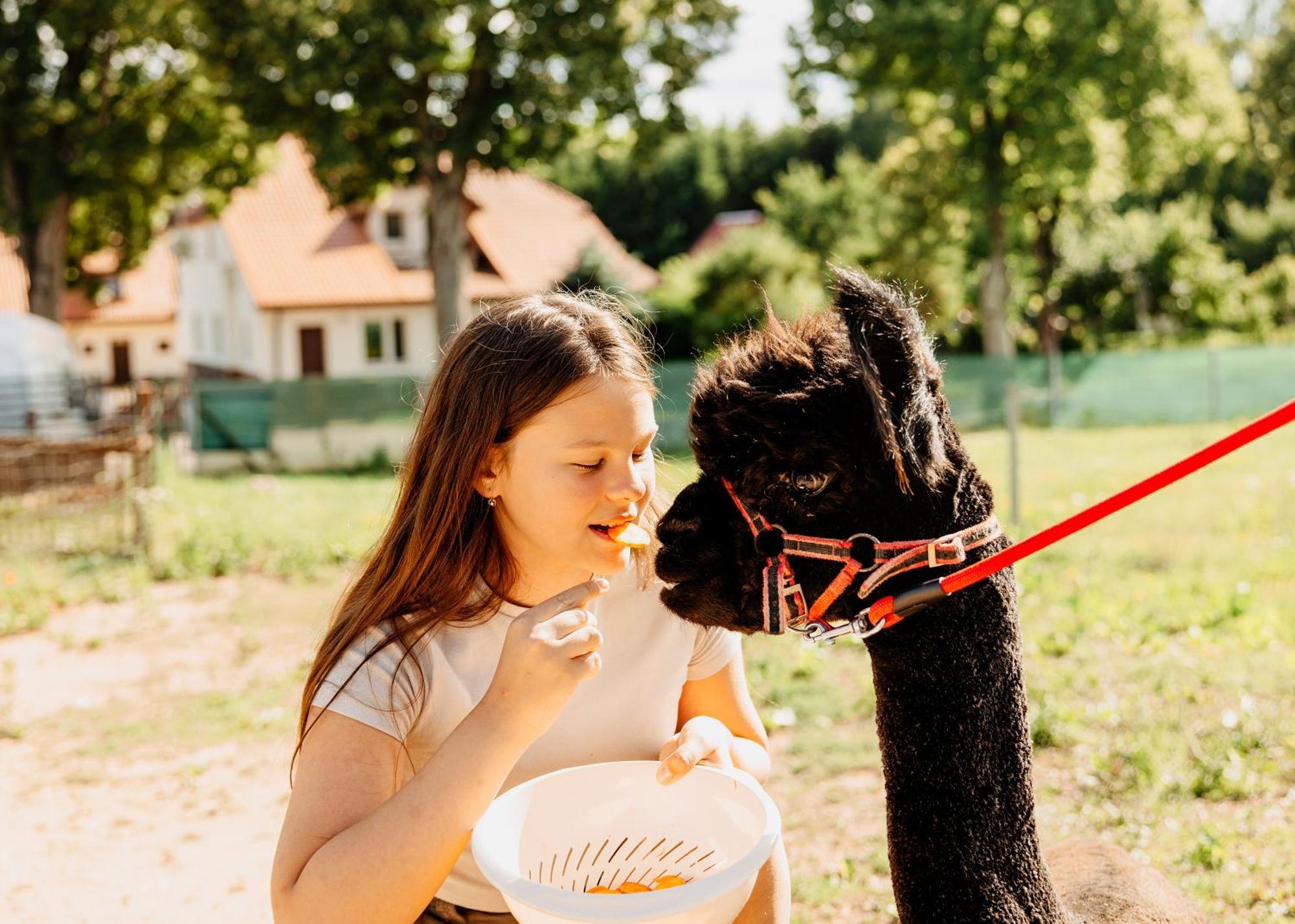 Gospodarstwo Agroturystyczne Z Basenem & Spa I Alpakami *