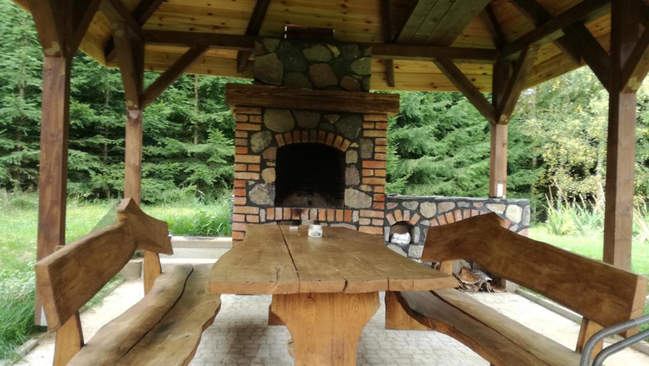 Farm stay Gospodarstwo Agroturystyczne Z Basenem & Spa I Alpakami Elk